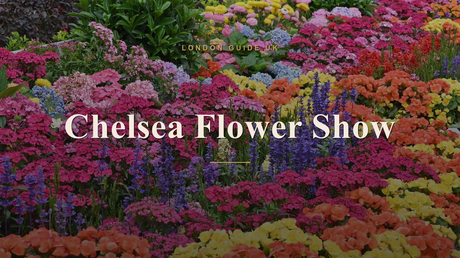 Chelsea Flower Show: A Visitor's Guide