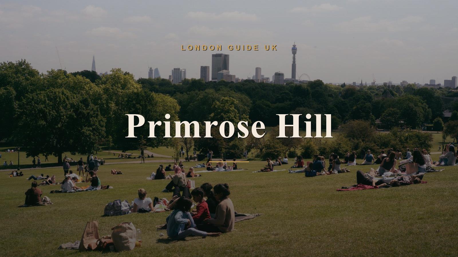 Primrose Hill, London neighbourhood guide
