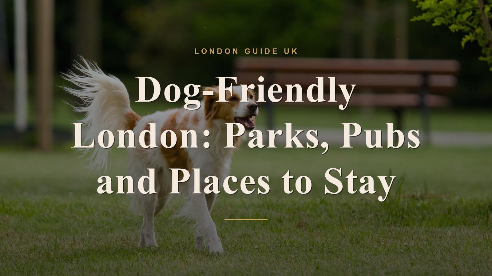 Dog-Friendly London: Parks, Pubs and Places to Stay